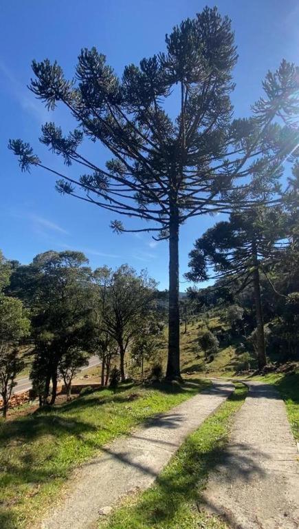 Recanto Luz Da Serra Urubici Buitenkant foto